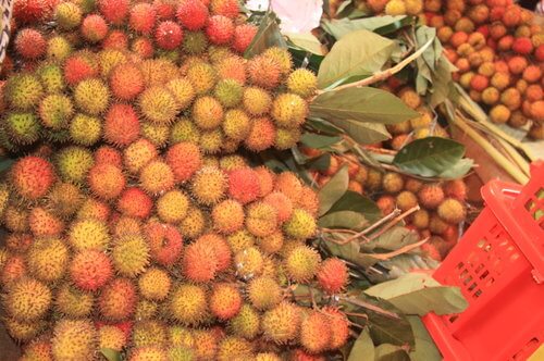 Buah Rambutan Rapiah