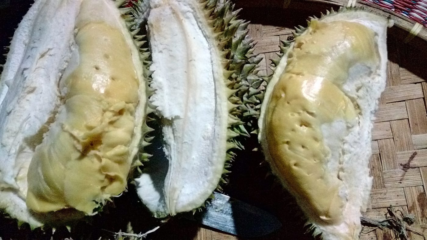 Durian Bintana
