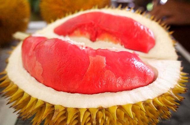 Buah Durian Merah
