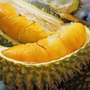 Durian
