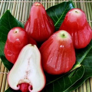 Jambu Air