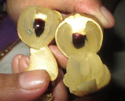 buah kelengkeng kristal