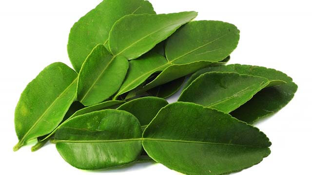 daun jeruk purut